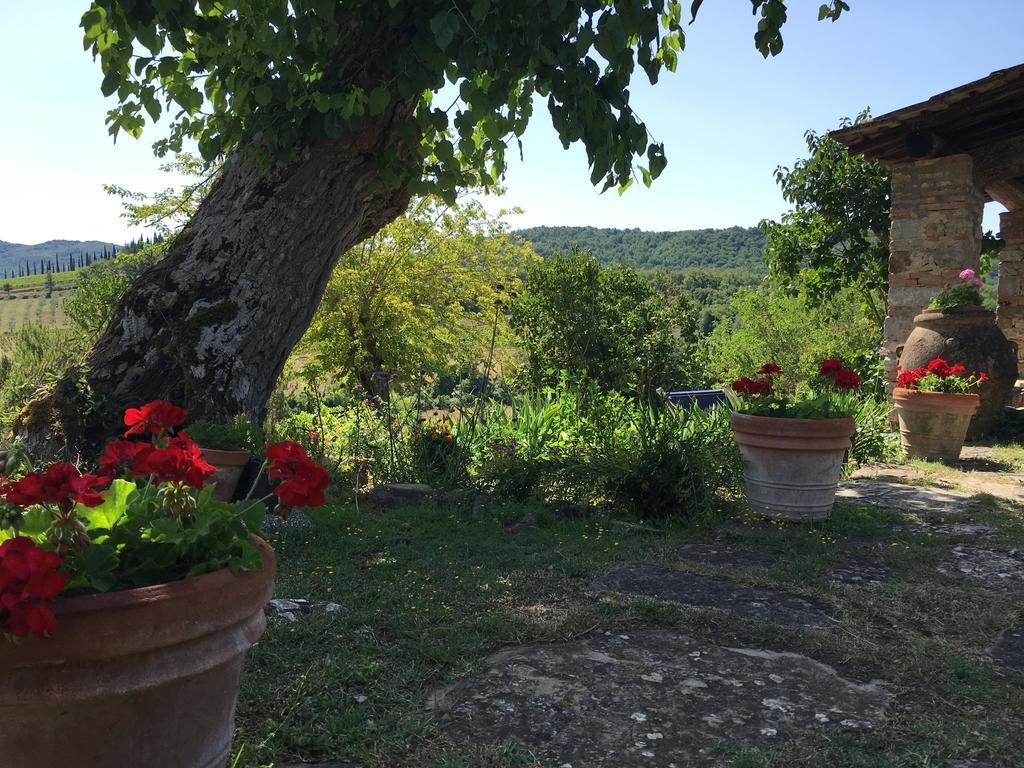 Podere Terreno Alla Via Della Volpaia Radda in Chianti Ngoại thất bức ảnh