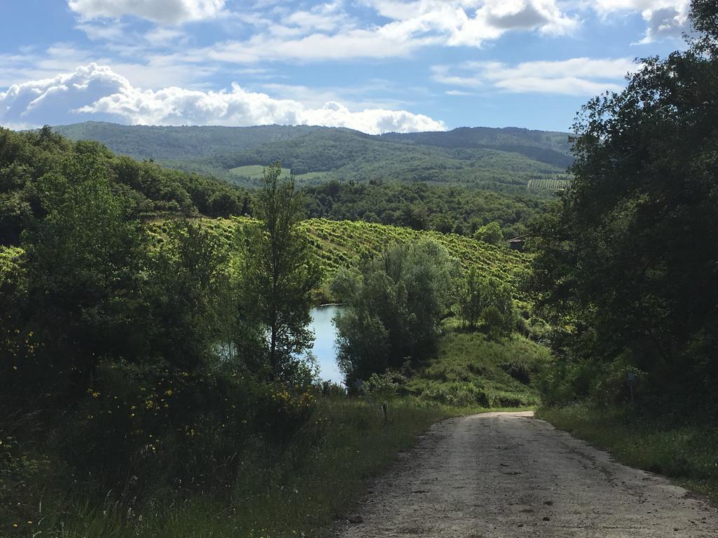 Podere Terreno Alla Via Della Volpaia Radda in Chianti Ngoại thất bức ảnh