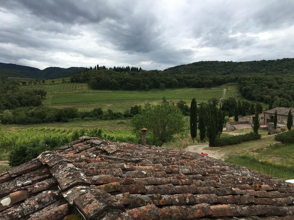 Podere Terreno Alla Via Della Volpaia Radda in Chianti Ngoại thất bức ảnh