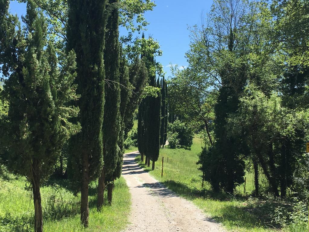 Podere Terreno Alla Via Della Volpaia Radda in Chianti Ngoại thất bức ảnh