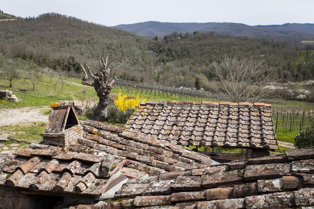 Podere Terreno Alla Via Della Volpaia Radda in Chianti Ngoại thất bức ảnh