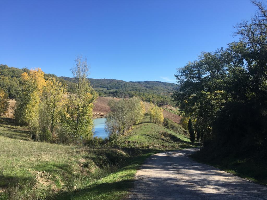 Podere Terreno Alla Via Della Volpaia Radda in Chianti Ngoại thất bức ảnh