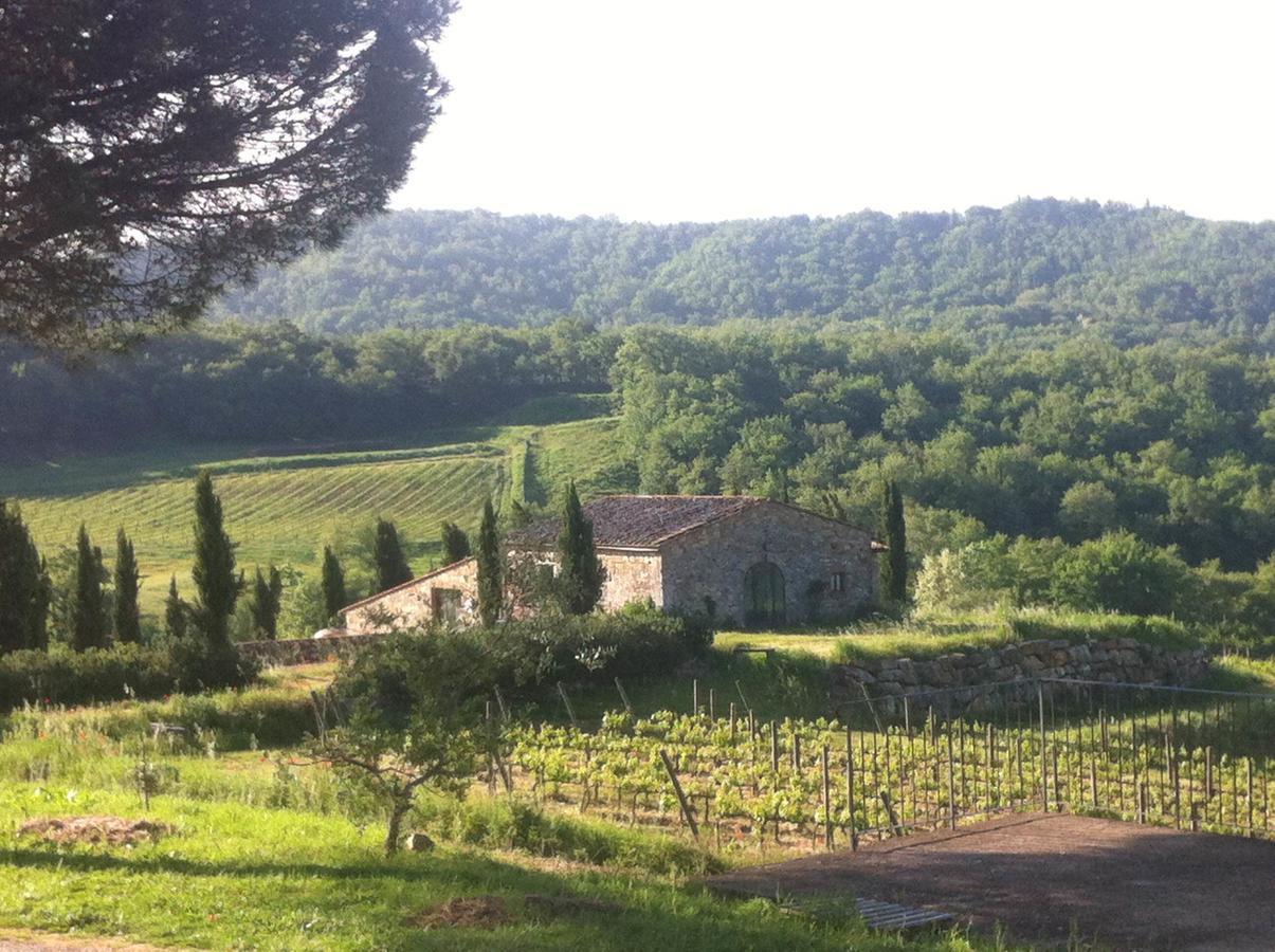 Podere Terreno Alla Via Della Volpaia Radda in Chianti Ngoại thất bức ảnh